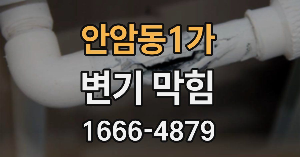 안암동1가 변기 막힘