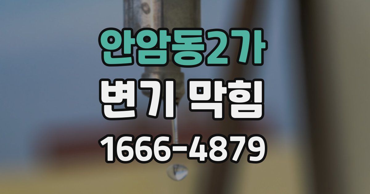 안암동2가 변기 막힘