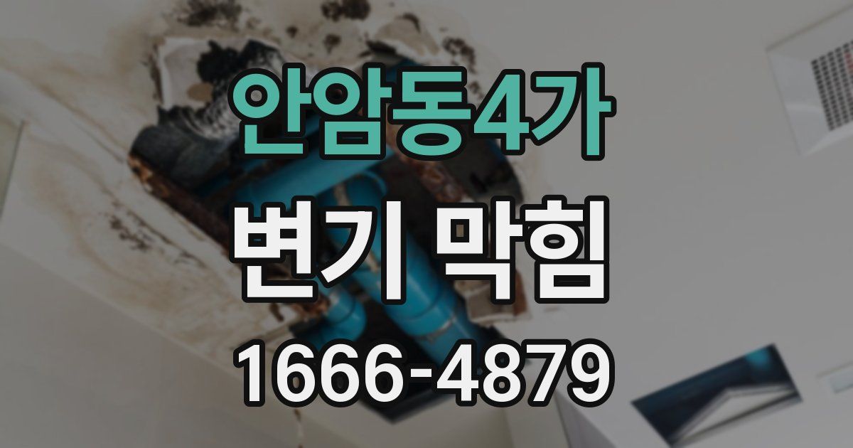 안암동4가 변기 막힘