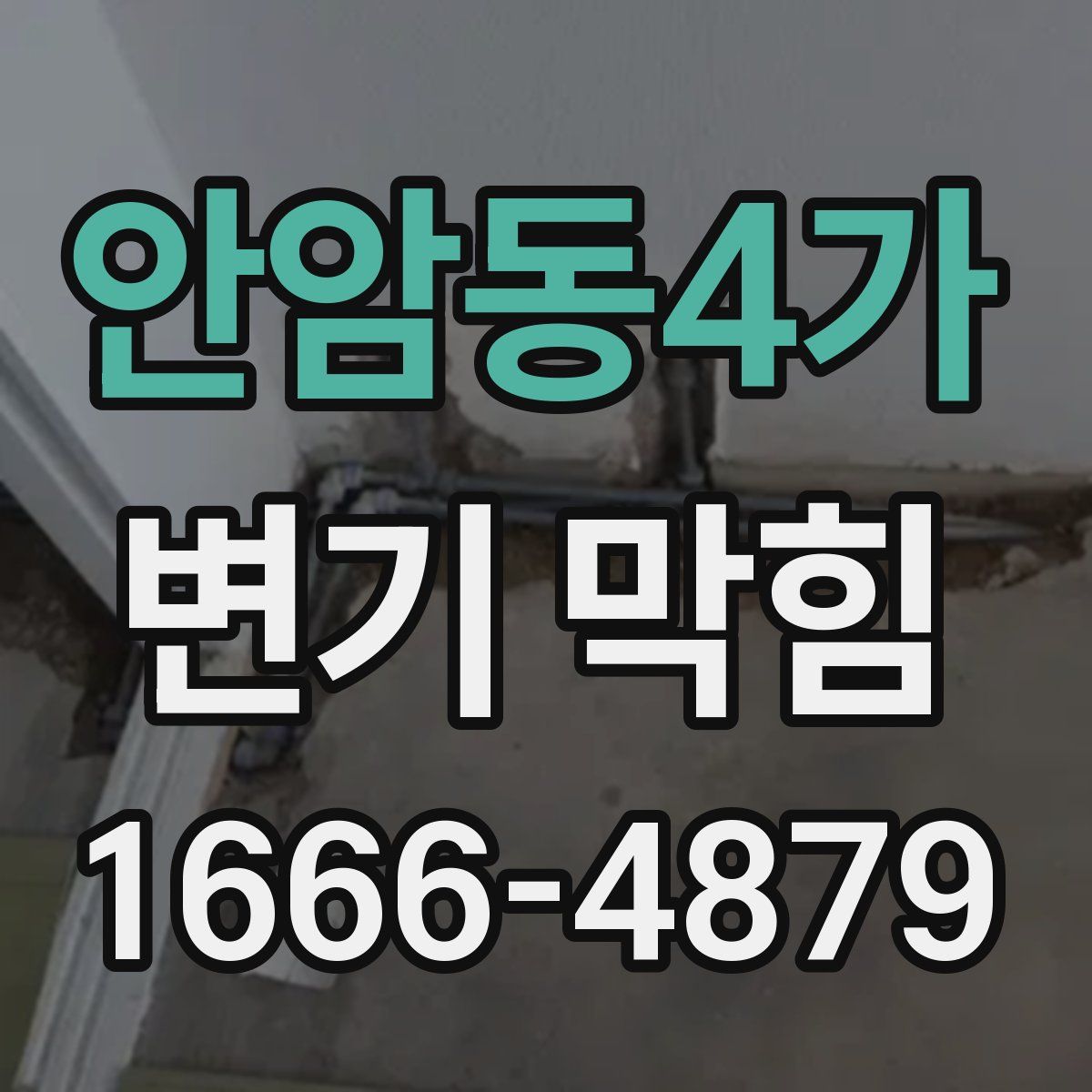 안암동4가 변기 막힘