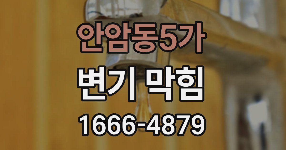 안암동5가 변기 막힘