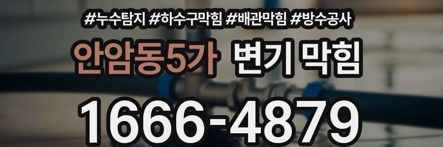 안암동5가 변기 막힘