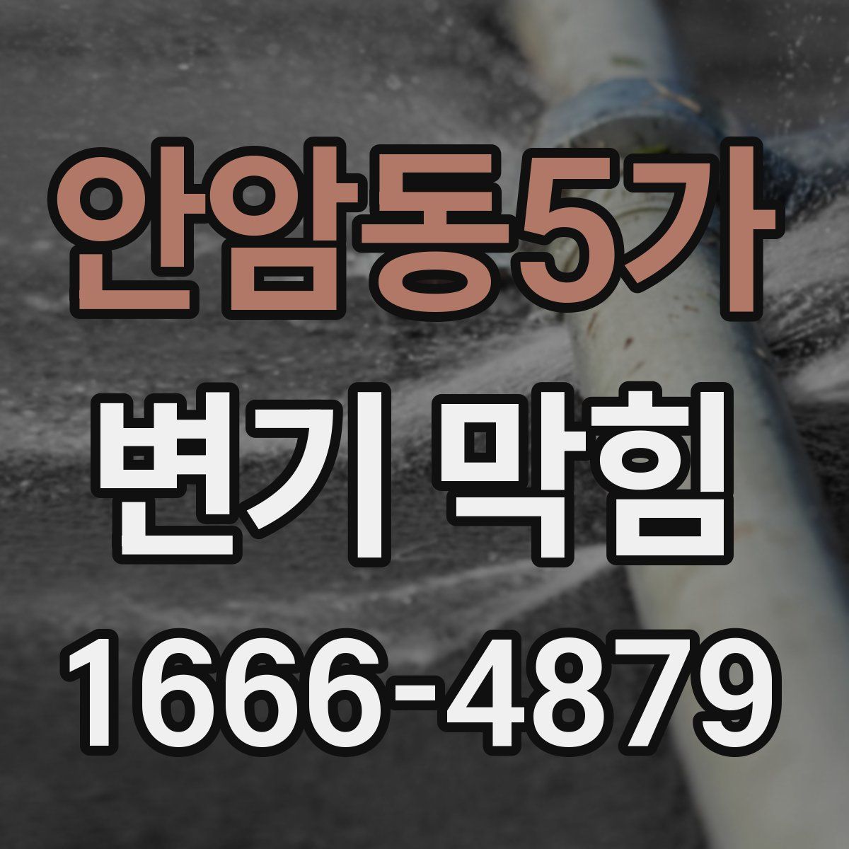 안암동5가 변기 막힘
