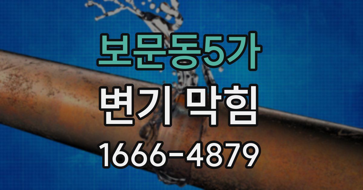 보문동5가 변기 막힘