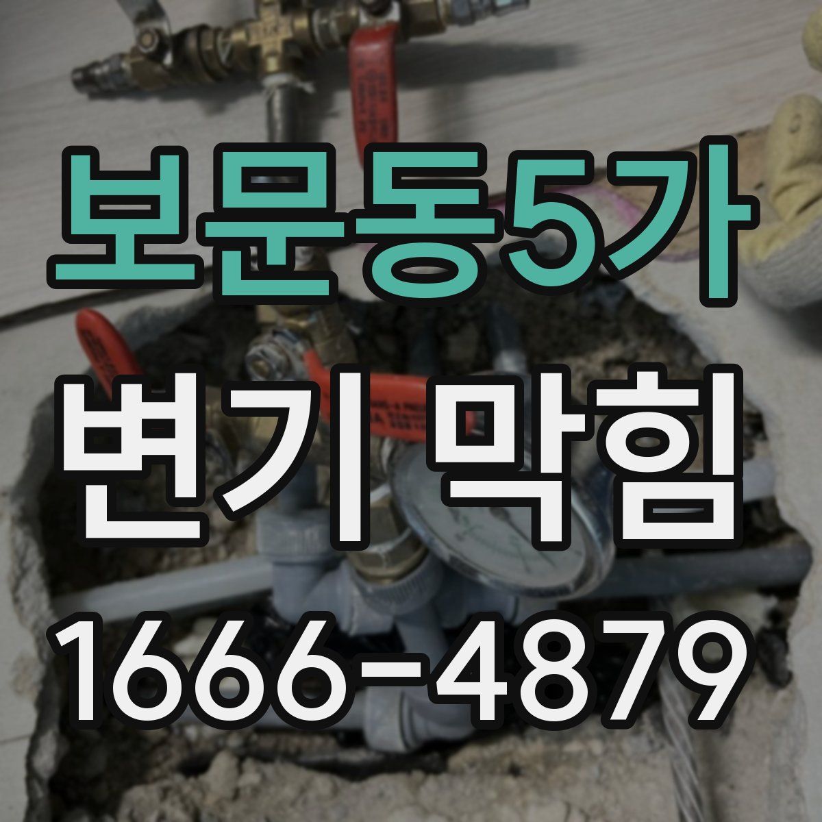 보문동5가 변기 막힘