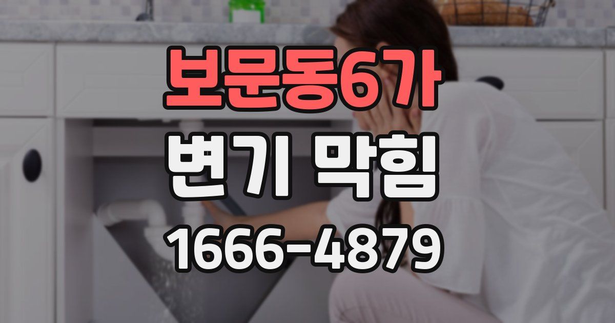 보문동6가 변기 막힘