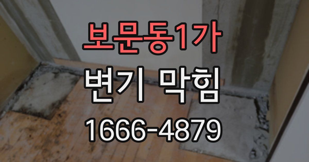 보문동1가 변기 막힘