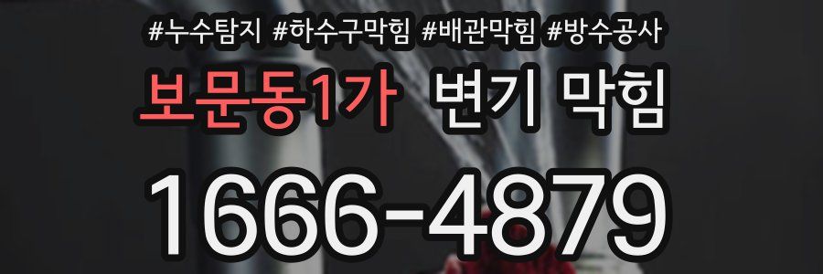 보문동1가 변기 막힘