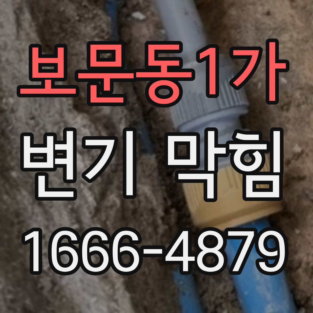 보문동1가 변기 막힘