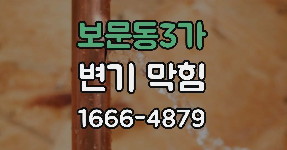 보문동3가 변기 막힘