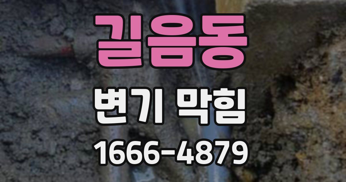 길음동 변기 막힘
