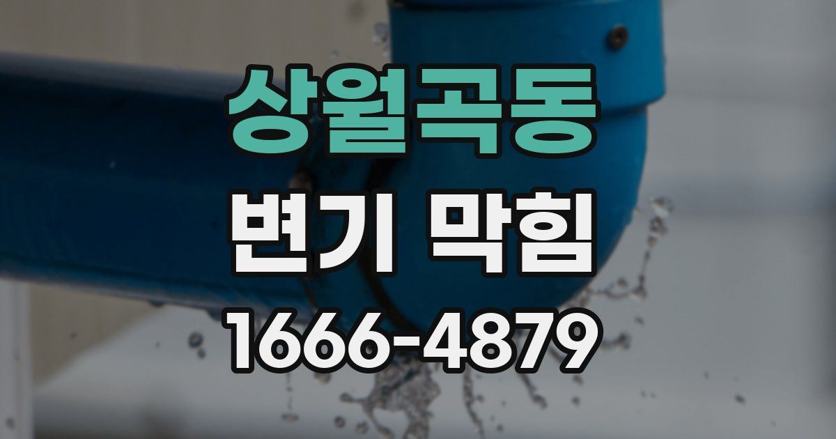 상월곡동 변기 막힘