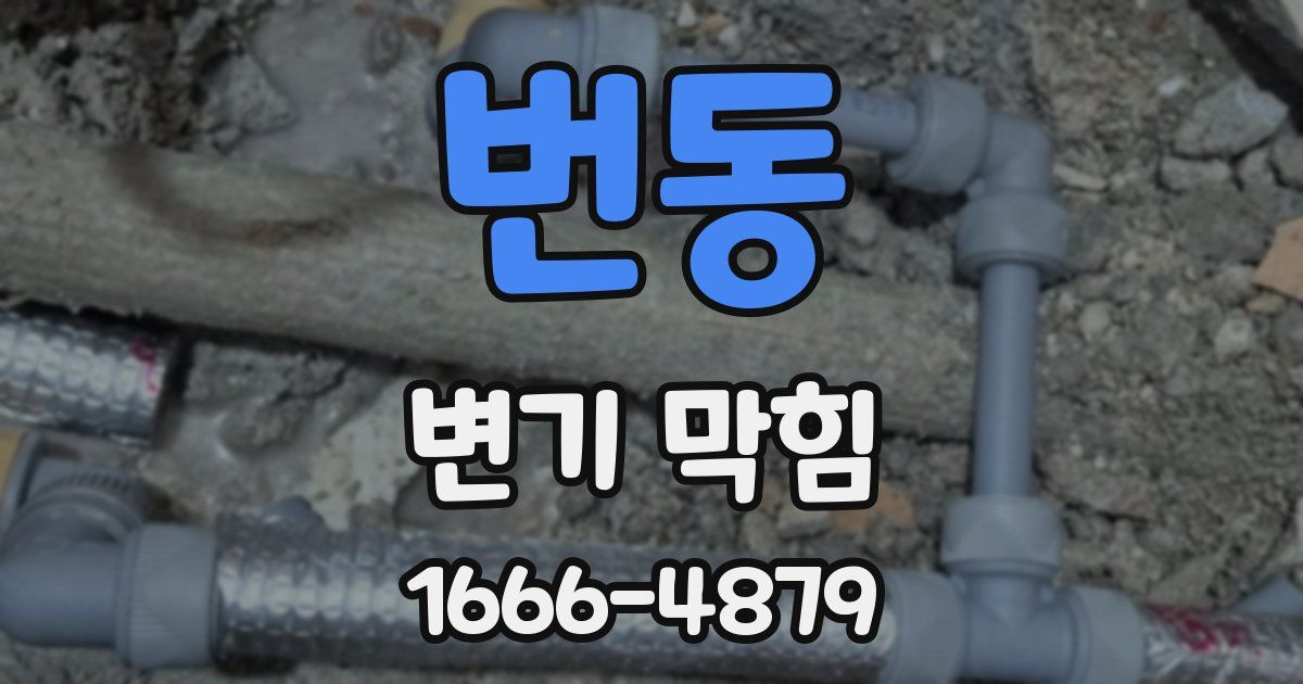 번동 변기 막힘