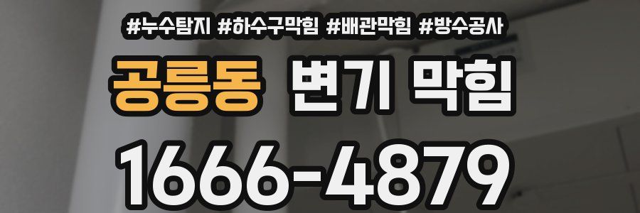 공릉동 변기 막힘