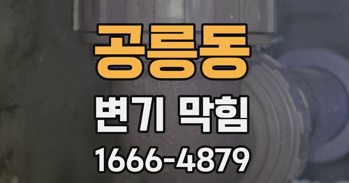공릉동 변기 막힘