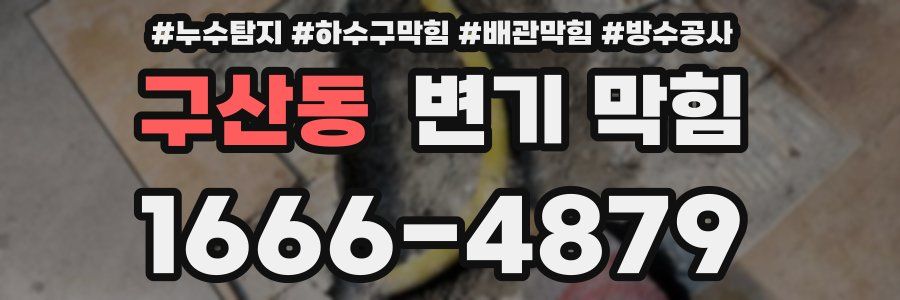 구산동 변기 막힘