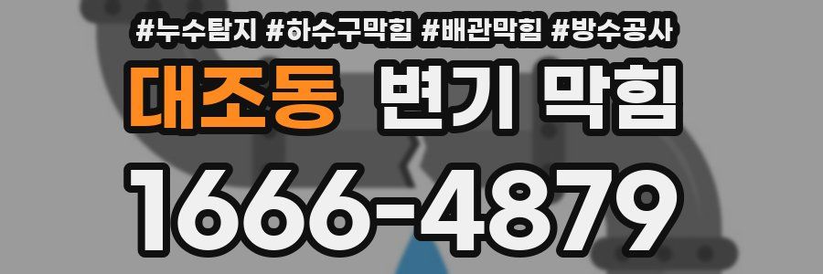 대조동 변기 막힘