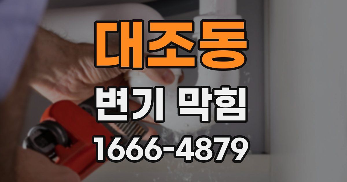 대조동 변기 막힘