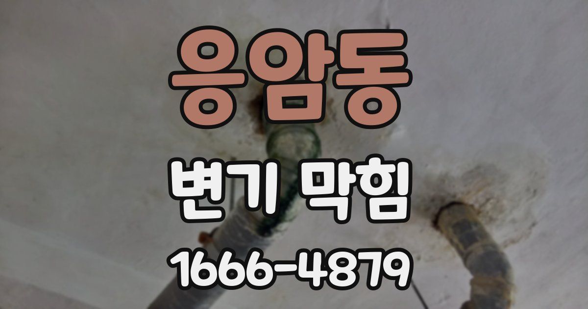 응암동 변기 막힘