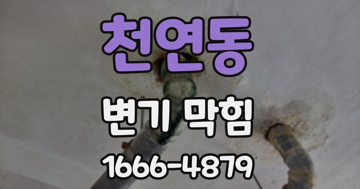 천연동 변기 막힘