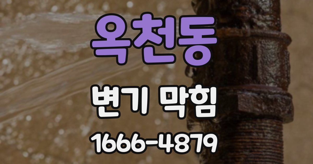 옥천동 변기 막힘