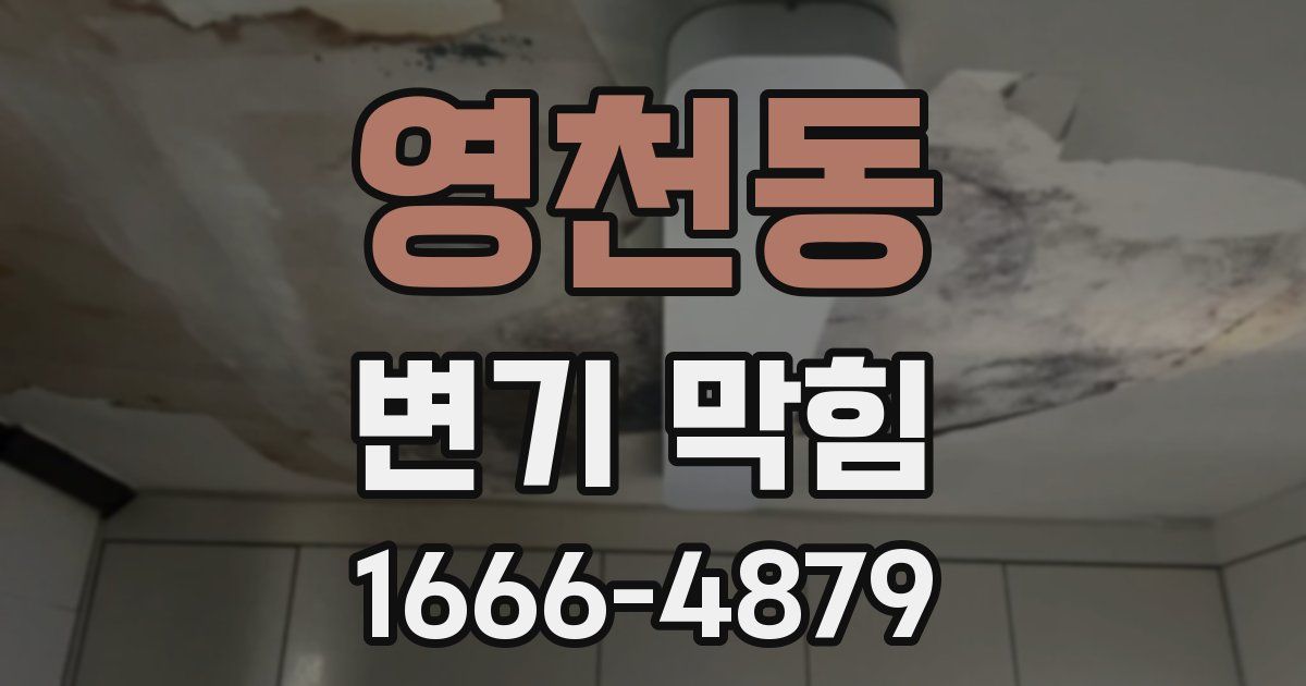 영천동 변기 막힘