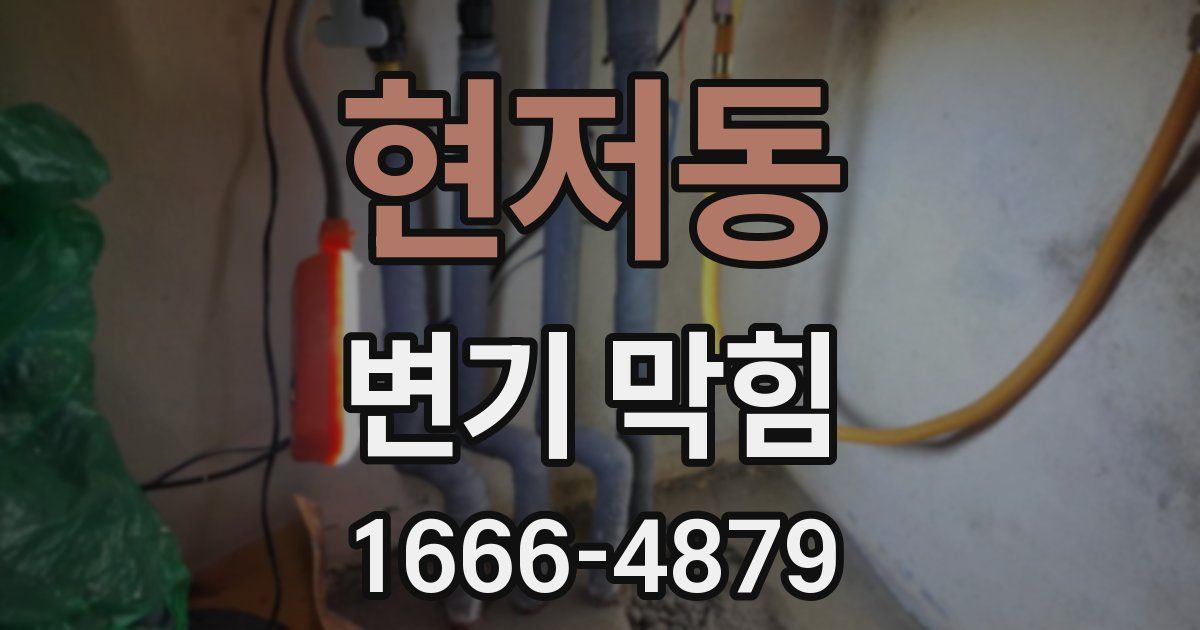 현저동 변기 막힘