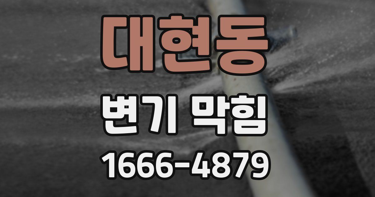 대현동 변기 막힘