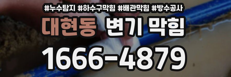 대현동 변기 막힘