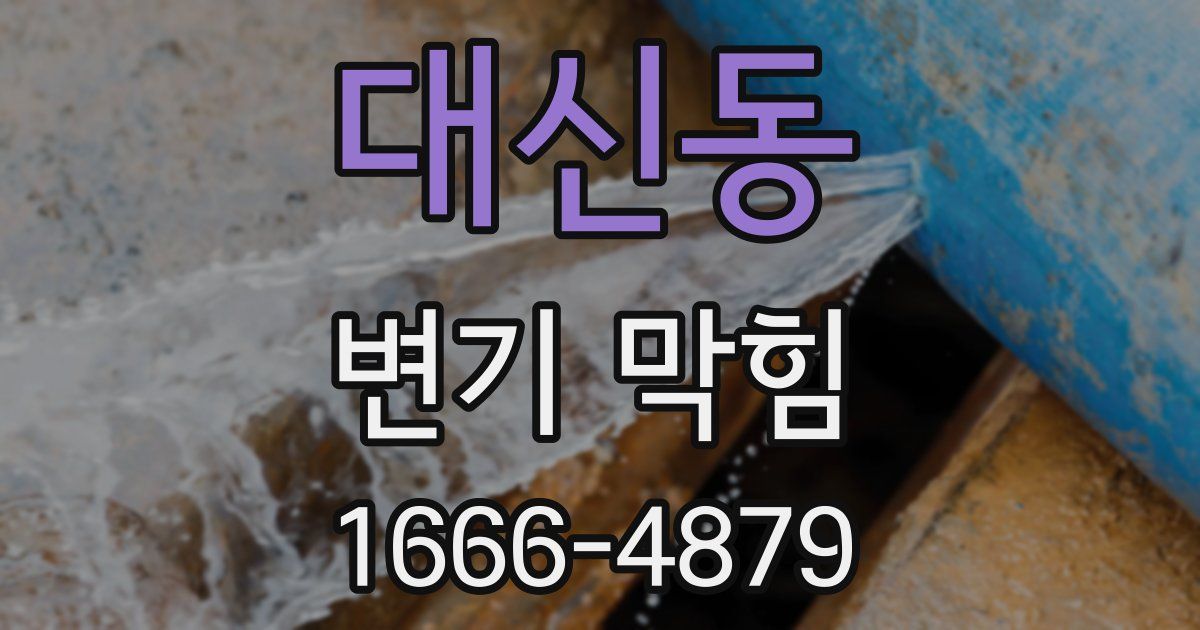 대신동 변기 막힘