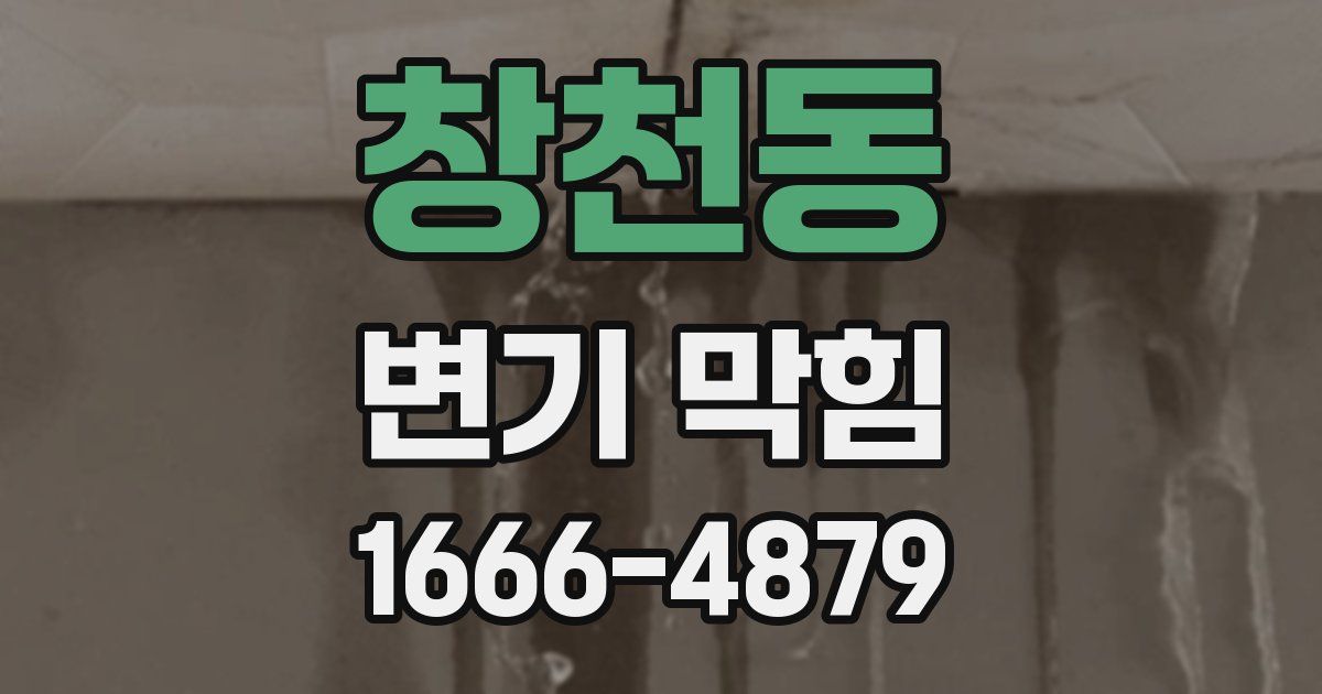 창천동 변기 막힘
