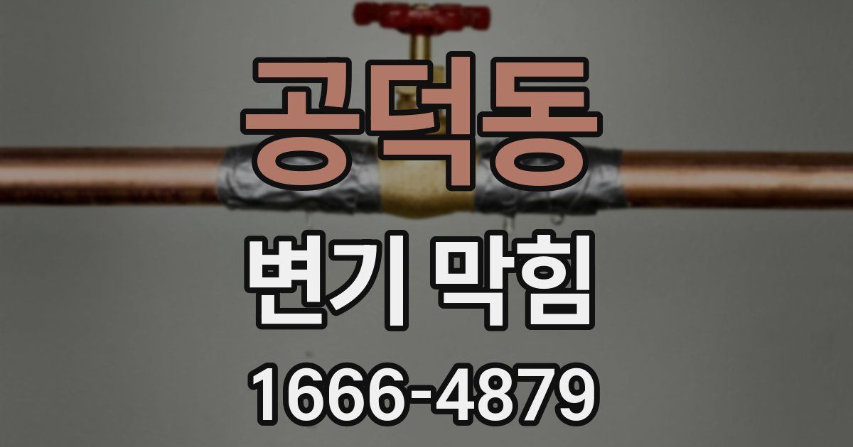 공덕동 변기 막힘