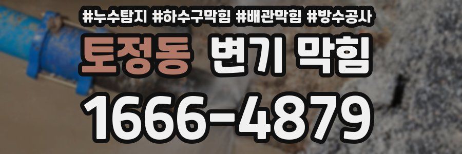 토정동 변기 막힘