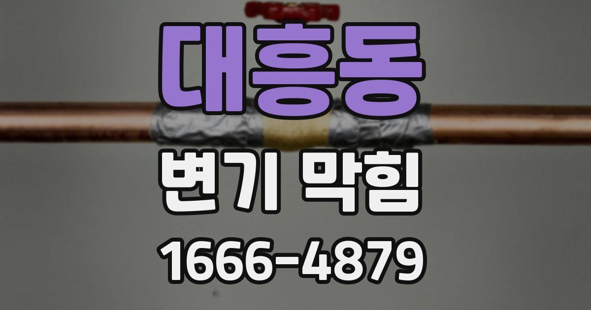 대흥동 변기 막힘