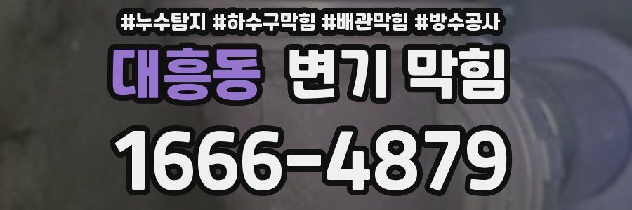 대흥동 변기 막힘