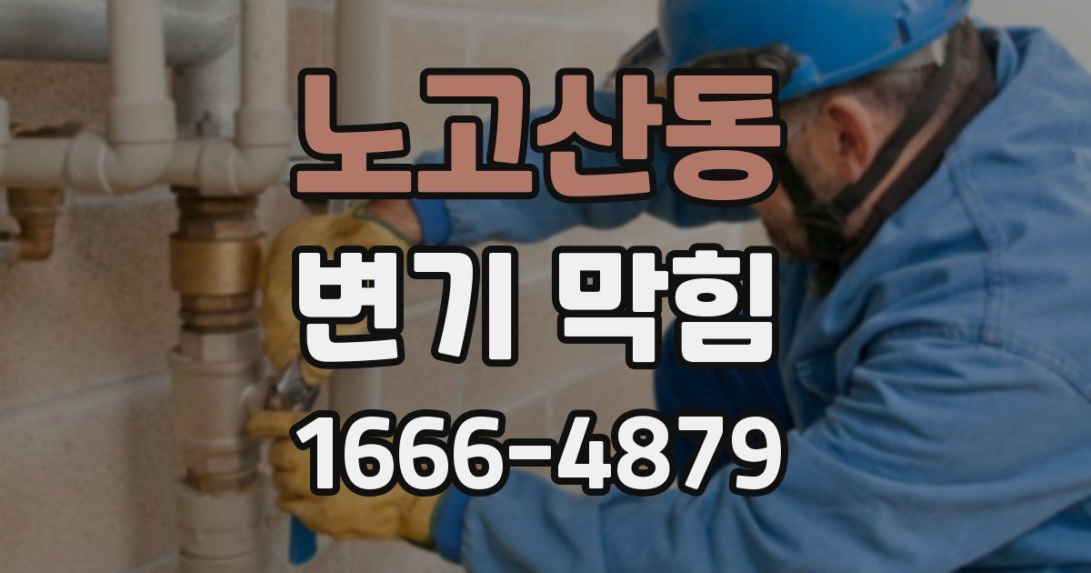노고산동 변기 막힘