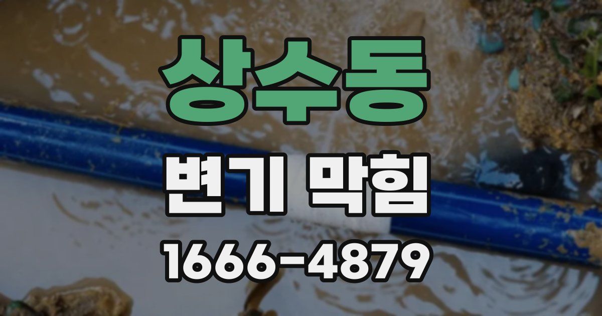상수동 변기 막힘