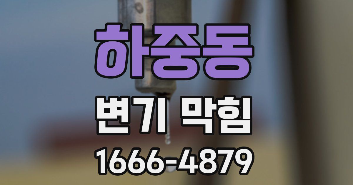 하중동 변기 막힘