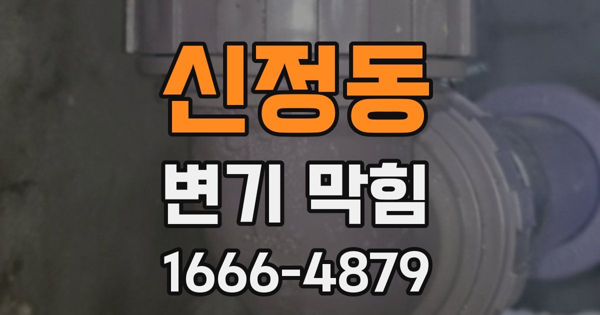 신정동 변기 막힘