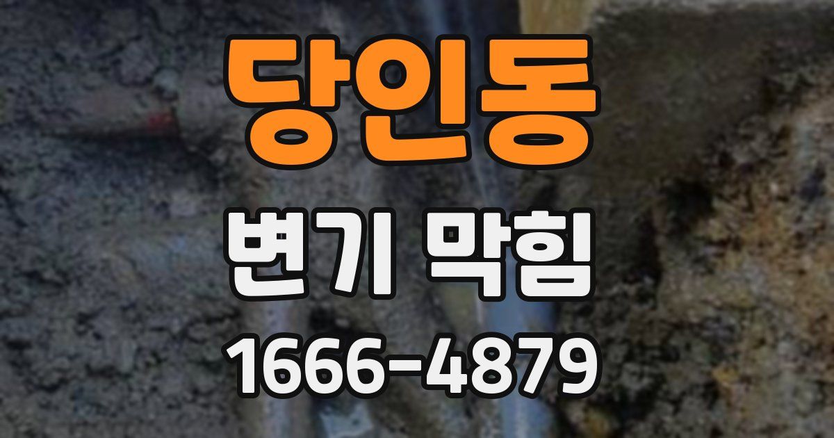당인동 변기 막힘