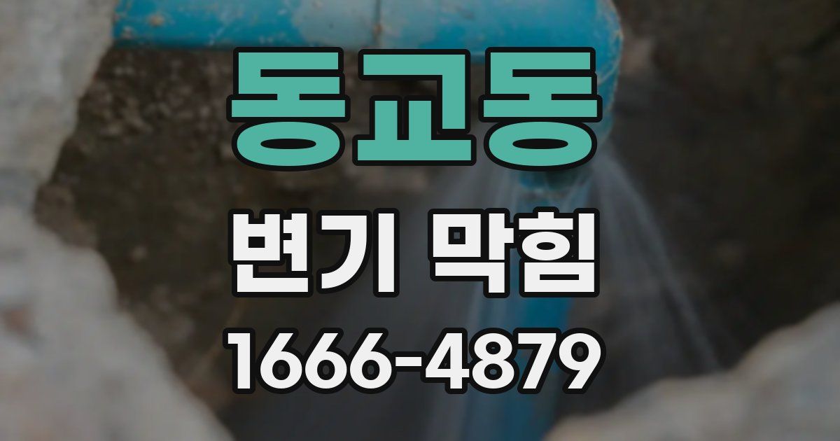 동교동 변기 막힘