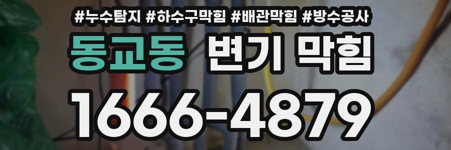동교동 변기 막힘