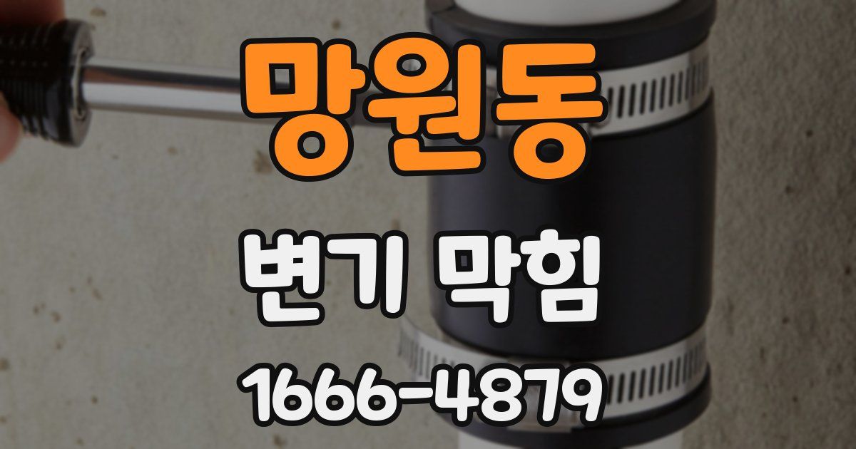 망원동 변기 막힘