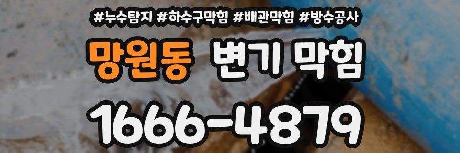 망원동 변기 막힘