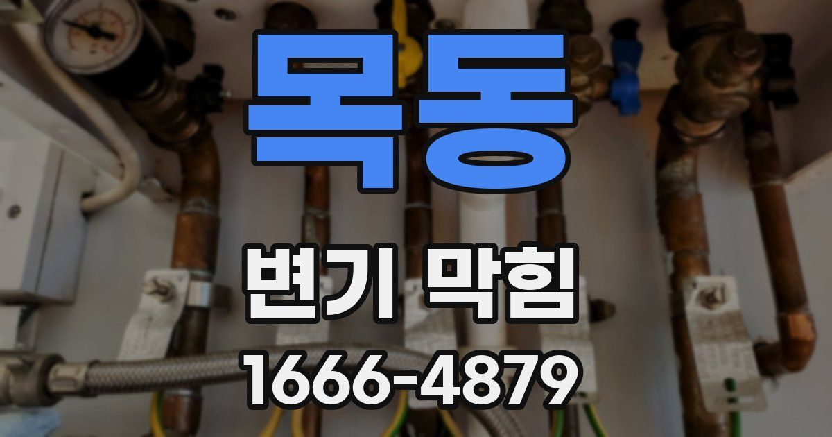 목동 변기 막힘