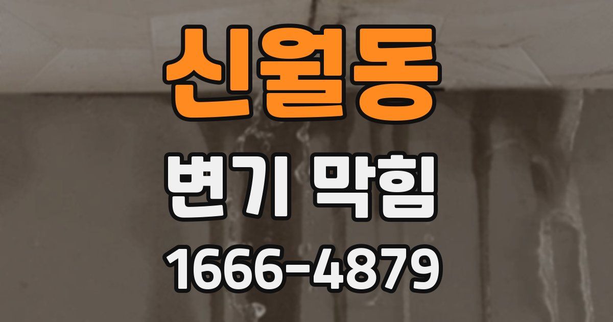 신월동 변기 막힘
