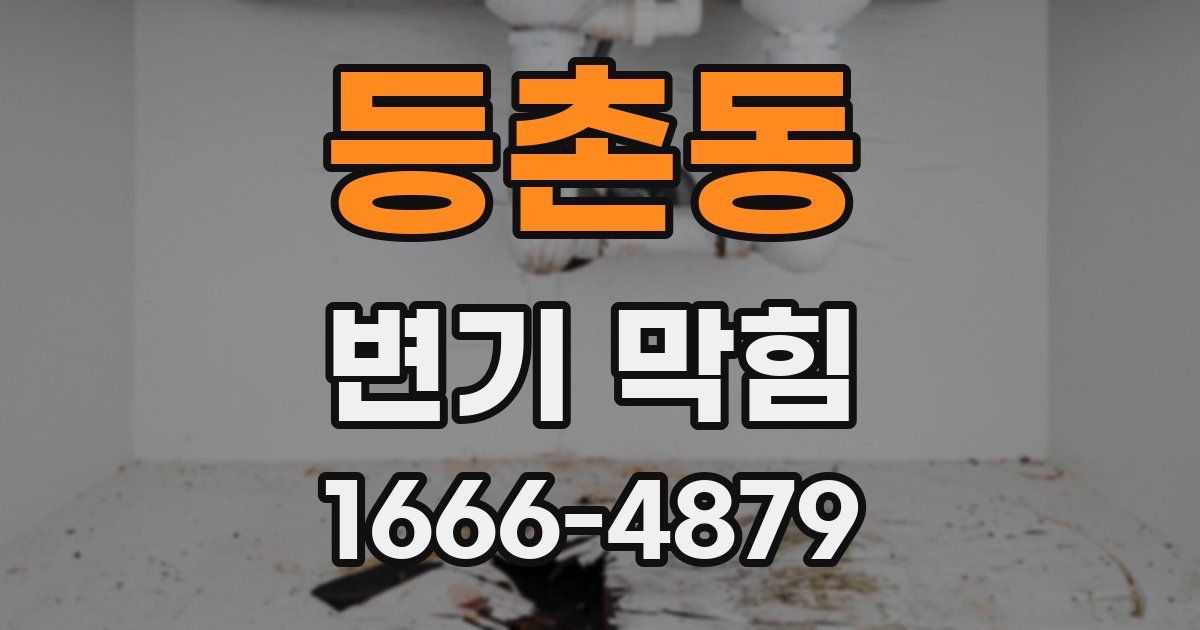 등촌동 변기 막힘