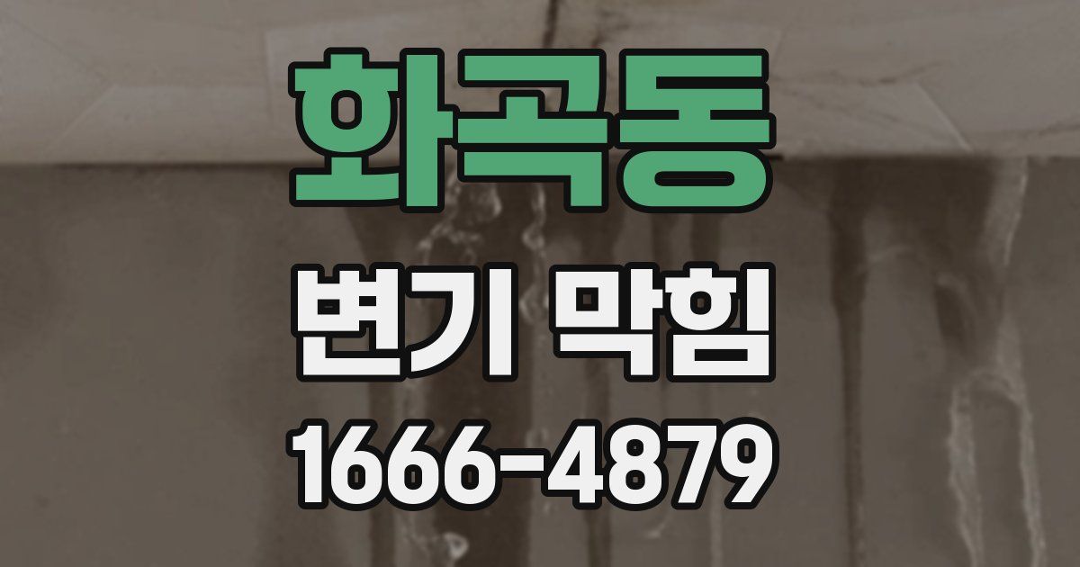 화곡동 변기 막힘