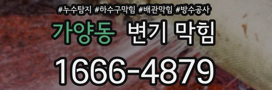 가양동 변기 막힘