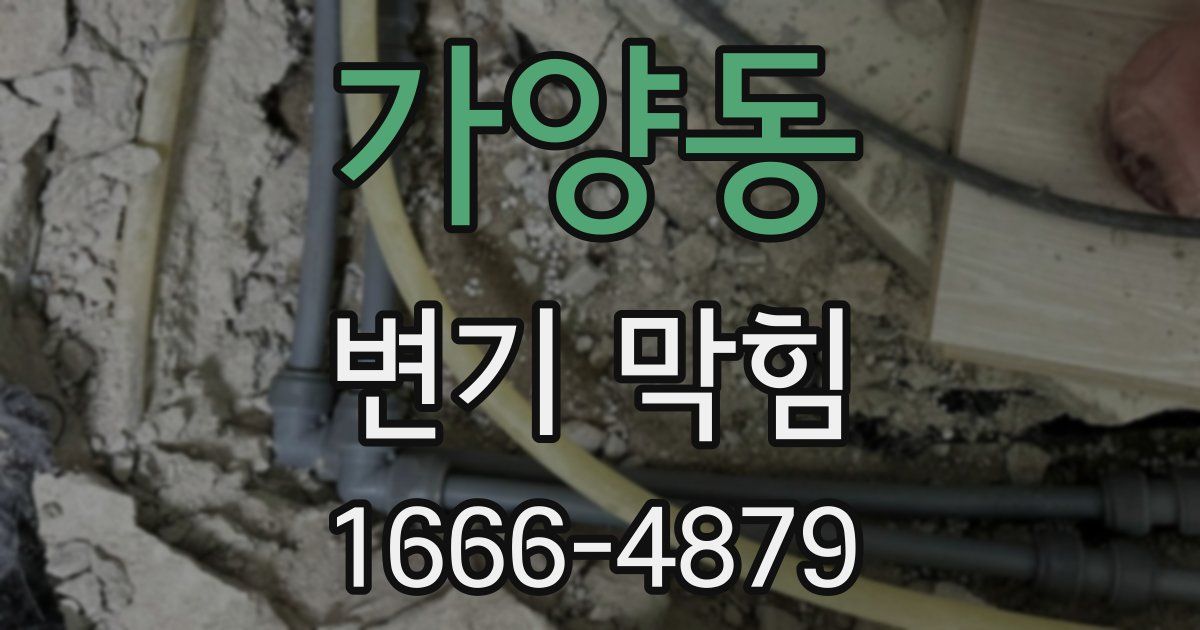 가양동 변기 막힘